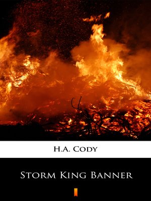 cover image of Storm King Banner